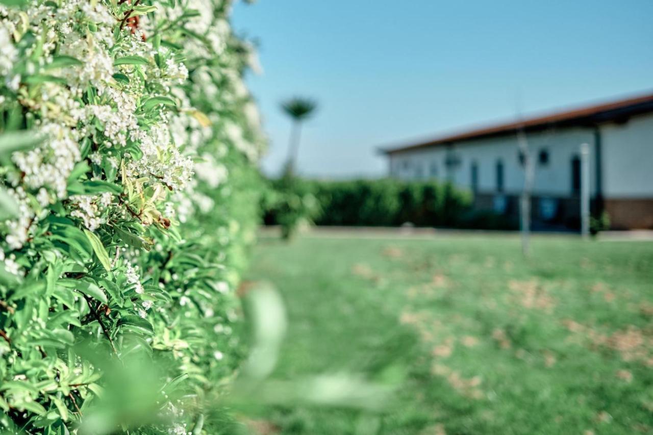 La Massaria Agriresort Orta Nova Eksteriør bilde