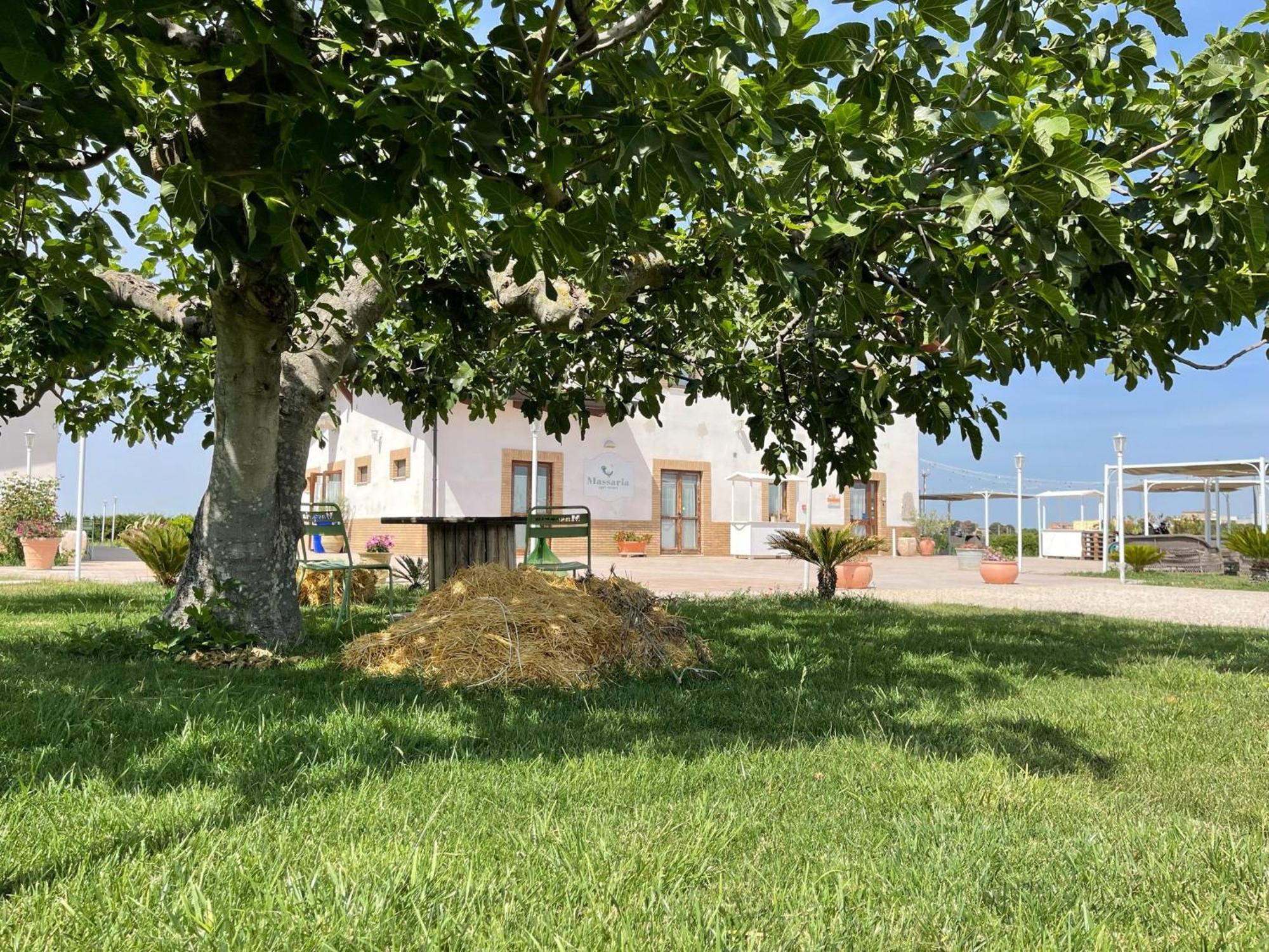 La Massaria Agriresort Orta Nova Eksteriør bilde