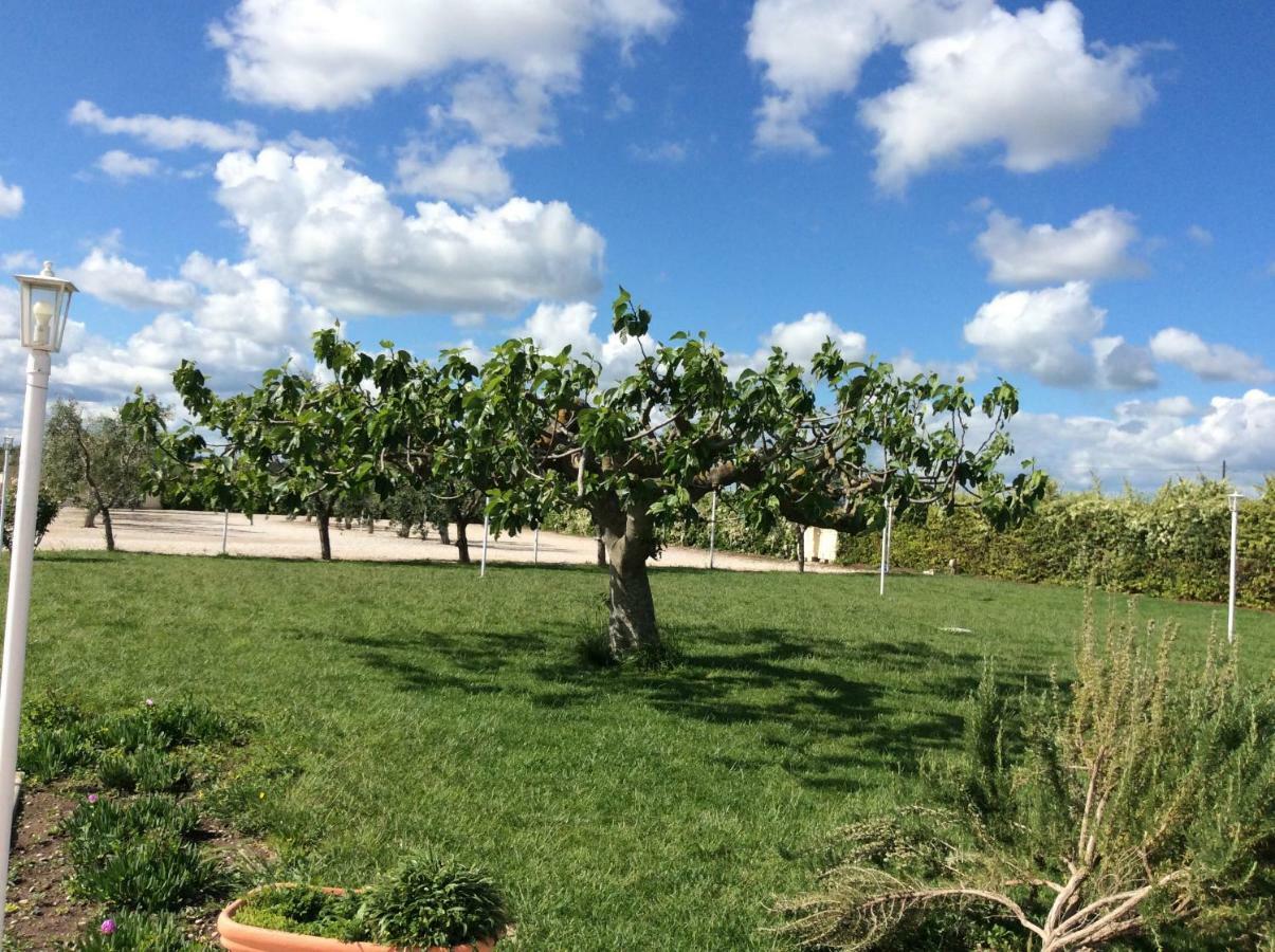 La Massaria Agriresort Orta Nova Eksteriør bilde